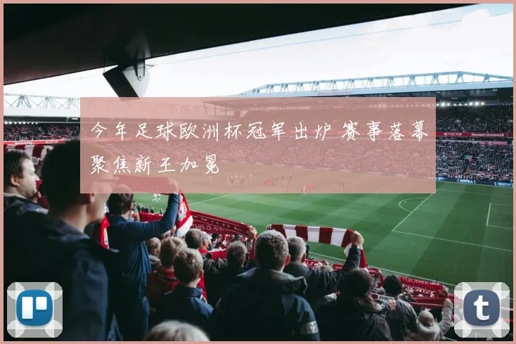 今年足球欧洲杯冠军出炉 赛事落幕聚焦新王加冕
