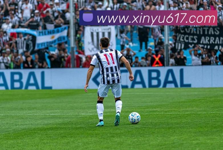 开云kaiyun入口平台生态图